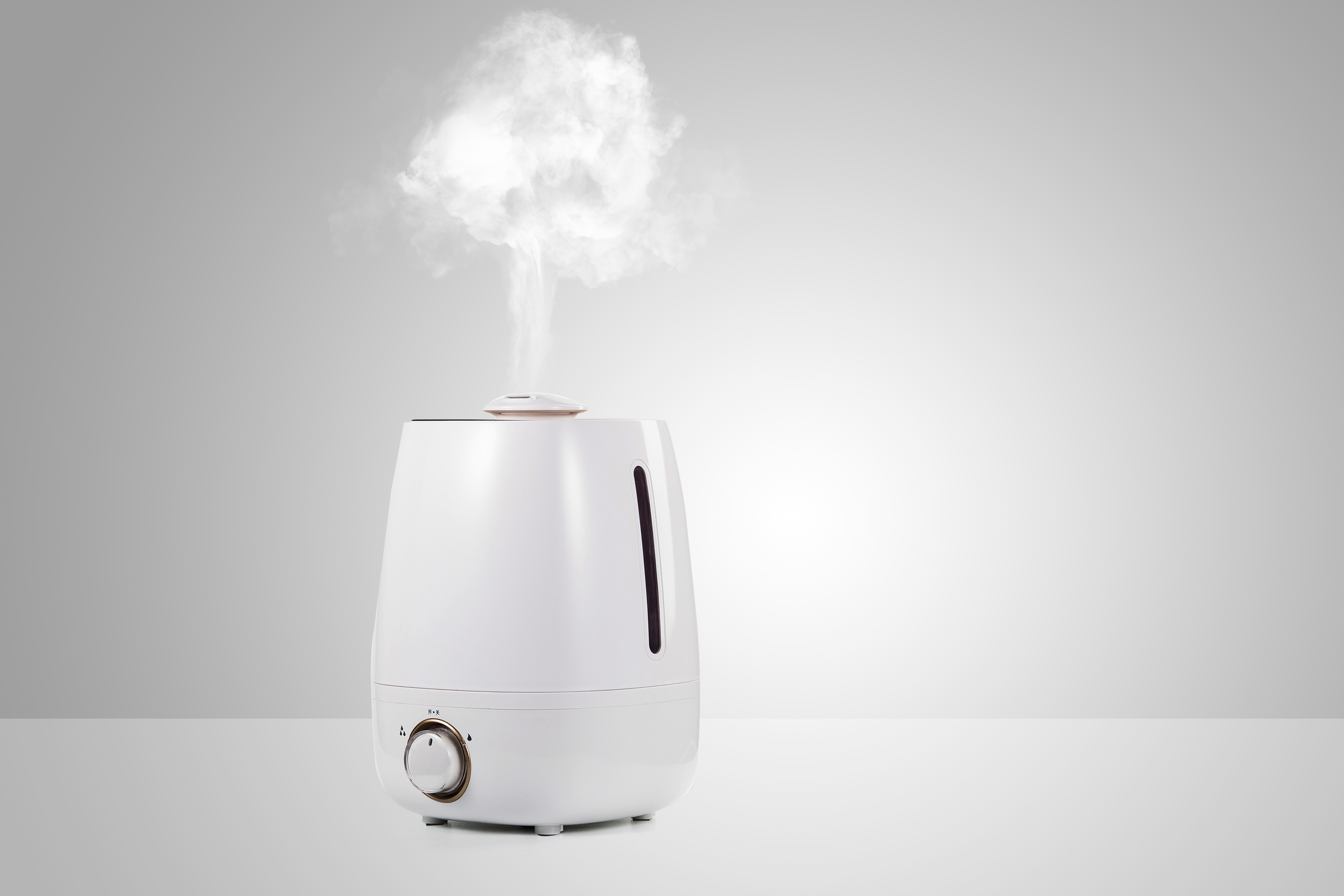 Desktop humidifier